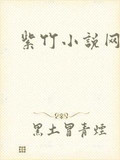 紫竹小说网