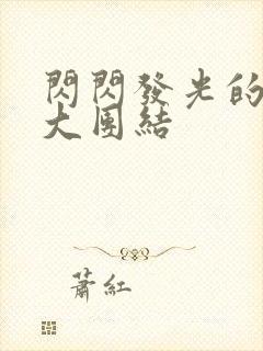 闪闪发光的小说大团结