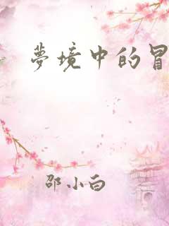 梦境中的冒险家