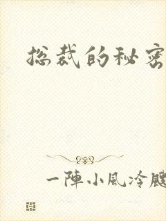 总裁的秘密娇妻