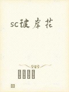 sc彼岸花