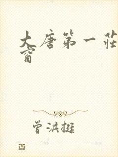大唐第一庄无弹窗