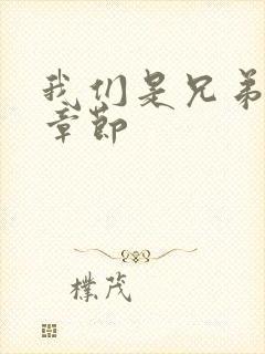 我们是兄弟最新章节