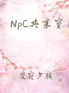 NpC共享宝贝