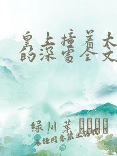 皇上撞着太子妃的深处全文阅读