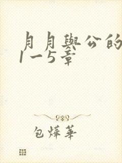月月与公的激情1一5章