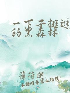 一下子挺进浓密的黑森林