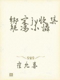 绑定jy收集系统冯小怜