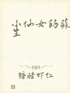 小仙女的苏撩先生