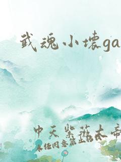 武魂小坏ga
