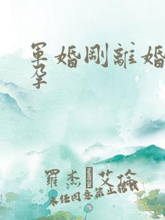 军婚刚离婚就怀孕