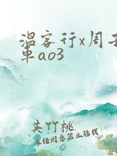 温客行x周子舒车ao3
