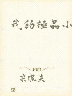 我的极品小姨