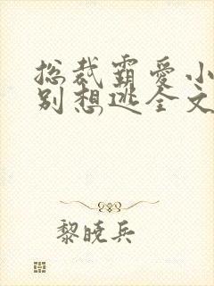 总裁霸爱小娇妻别想逃全文阅读免费