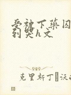 受被下药囚禁脔到哭h文