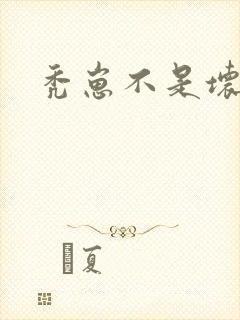 秃崽不是坏女人