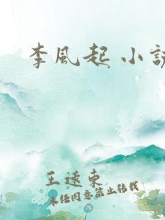 李风起 小说