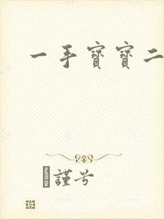 一手宝宝二手妻