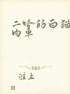 二哈的白猫师尊肉车