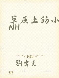 草原上的小公主NH