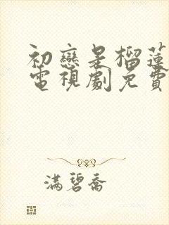 初恋是榴莲先生电视剧免费观看