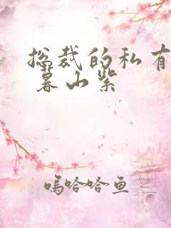 总裁的私有宝贝 暮山紫