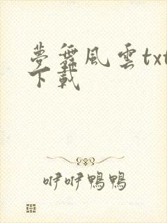 梦舞风云txt下载