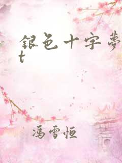 银色十字梦txt