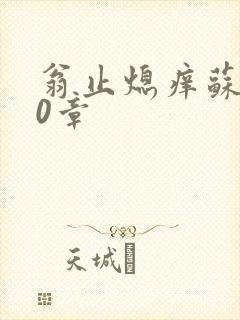 翁止熄痒苏钥10章