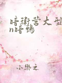 暗卫营大型hpn暗鸦