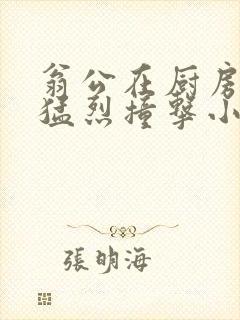 翁公在厨房和我猛烈撞击小说