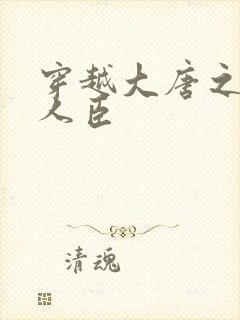 穿越大唐之位极人臣