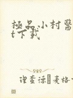 极品小村医txt下载