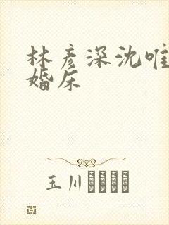 林彦深沈唯赖上婚床