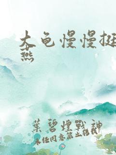 大龟慢慢挺进张燕