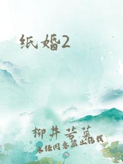 纸婚2