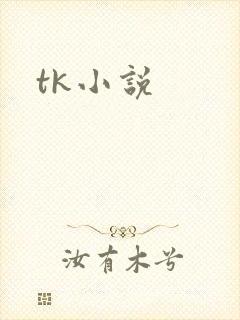 tk小说