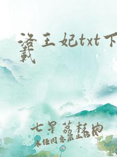 洛王妃txt下载