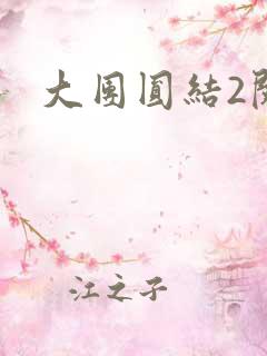 大团圆结2阅读