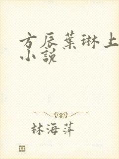 方辰叶琳上官步小说