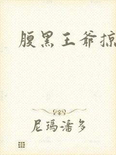 腹黑王爷掠邪妃