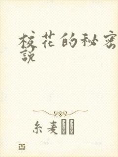 校花的秘密 小说