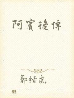 阿宾后传