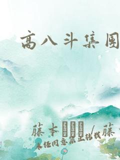 高八斗集团