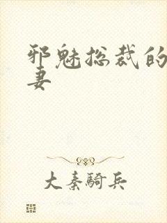 邪魅总裁的替身妻