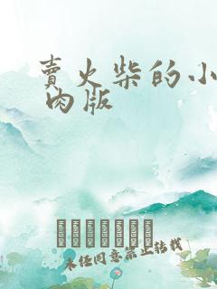 卖火柴的小男孩 肉版