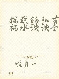 总裁的私有宝贝祸水泱泱全文阅读