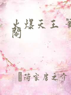 火爆天王 笔趣阁