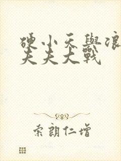 硬小天与浪小辉夫夫大战