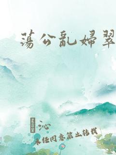 荡公乱妇翠翠